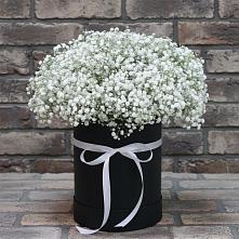 Цветочная композиция из Гипсофила в шляпной коробке #REPLACE_PRED# Майском