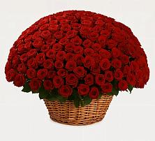 Премиум букет из: Розы в Майском